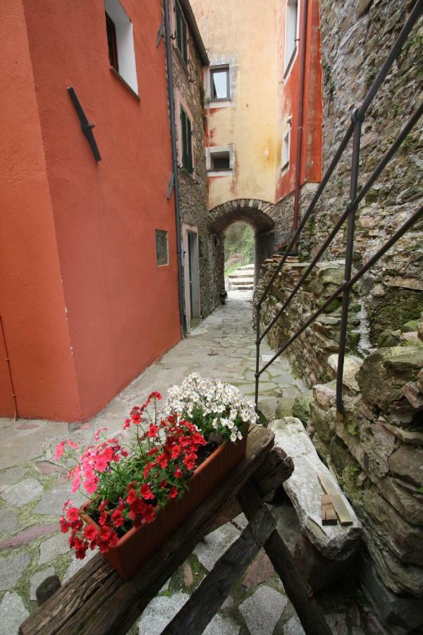 Borgo Di Codeglia - Country Rooms Рико дел Голфо ди Специя Екстериор снимка