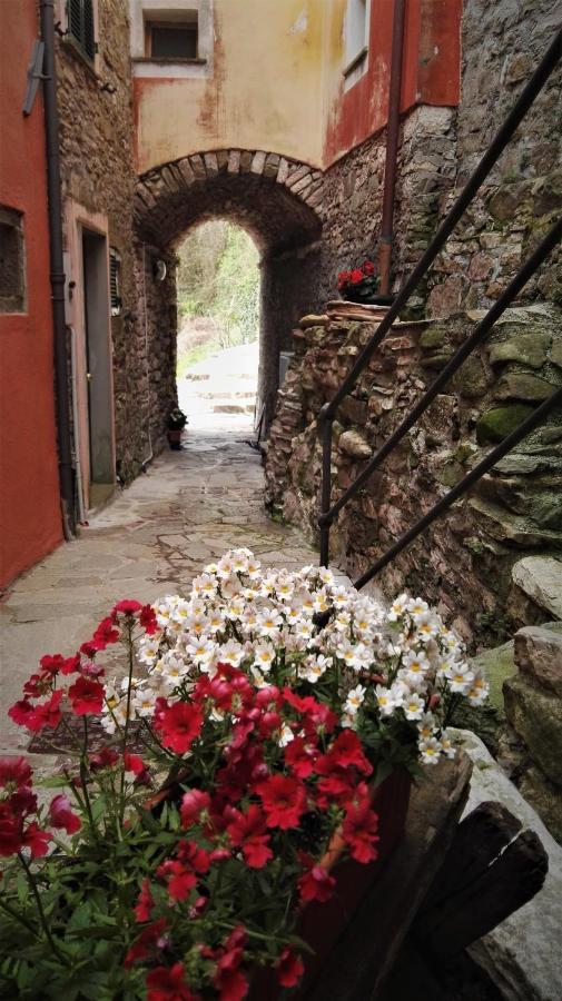 Borgo Di Codeglia - Country Rooms Рико дел Голфо ди Специя Екстериор снимка