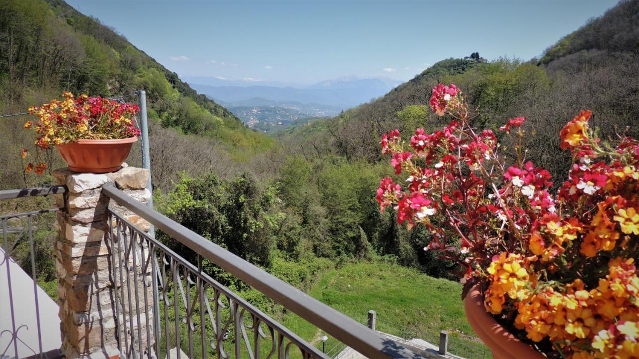 Borgo Di Codeglia - Country Rooms Рико дел Голфо ди Специя Екстериор снимка